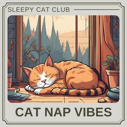Less Anxious Cat