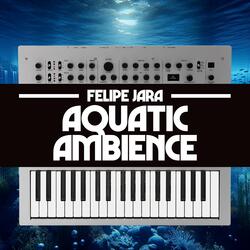 Aquatic Ambience (From "Donkey Kong Country")