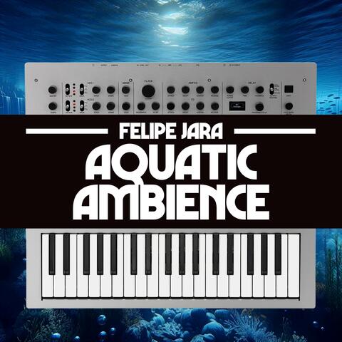 Aquatic Ambience (From "Donkey Kong Country")