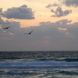 Waves