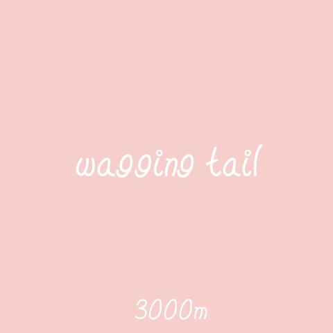 wagging tail