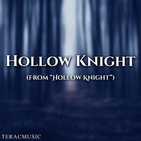 Hollow Knight (From "Hollow Knight")