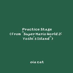 Practice Stage (From "Super Mario World 2: Yoshi's Island")