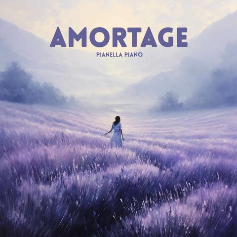 AMORTAGE