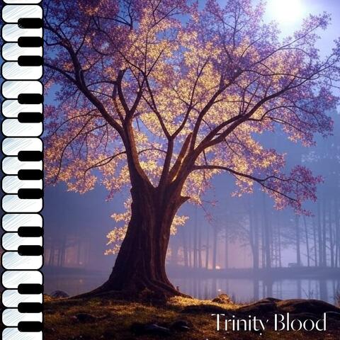 Broken Wings (from "Trinity Blood")