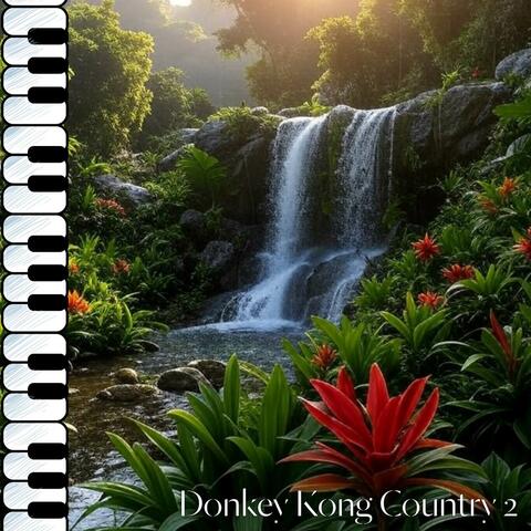 In a Snow-Bound Land (from "Donkey Kong Country 2")