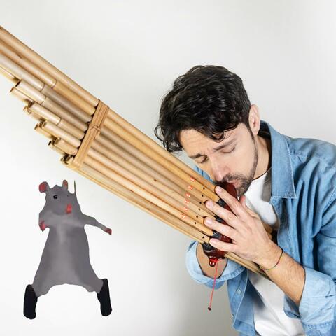 Viral Rat dance meme on cool instruments from around the world!