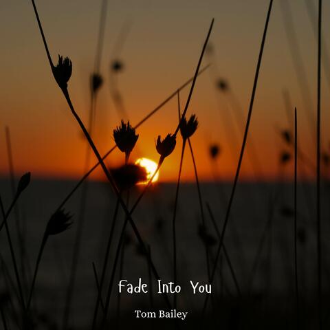 Fade Into You