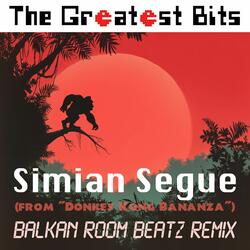 Simian Segue (from: "Donkey Kong Bananza")