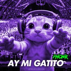 Ay Mi Gatito Phonk