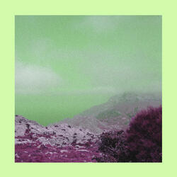 11am Fuzz