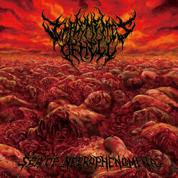Toxic Excoriation (ft. Brandon of Agonal Breathing)