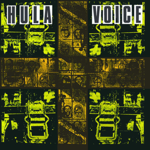 Voice