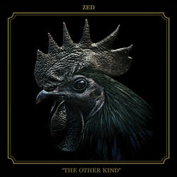 The Other Kind