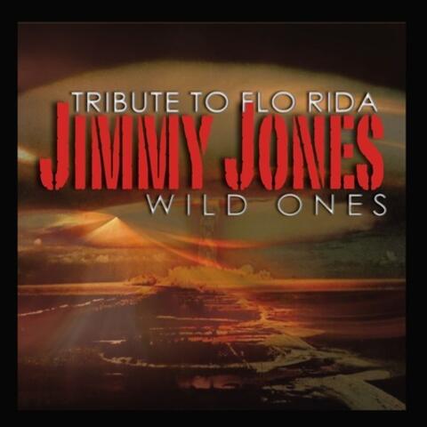 Wild Ones (tribute To Flo Rida)