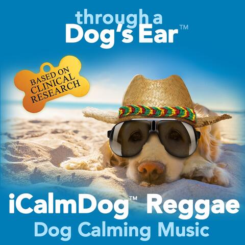 Icalmdog Reggae: Dog Calming Music