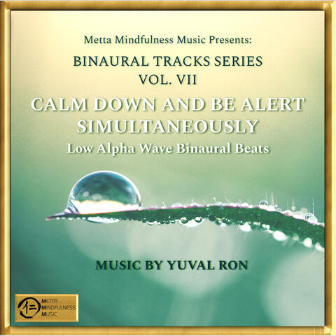 Calm Down And Be Alert Simultaneously: Low Alpha Wave Binaural Beats