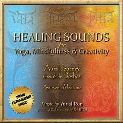 Pitta - The Vital Flame: Healing Sounds for Transformation & Possibilities (feat. Jai Uttal)
