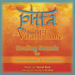 Pitta: The Vital Flame (Healing Sounds for Transformation & Possibilities) (feat. Jai Uttal)