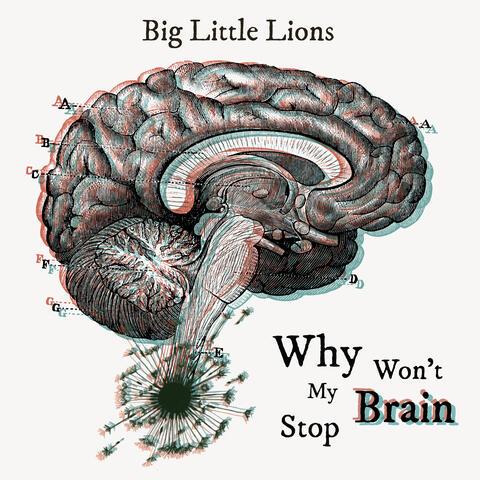 Why Won't My Brain Stop