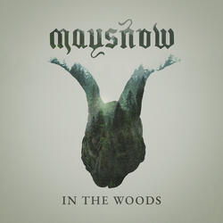 In The Woods