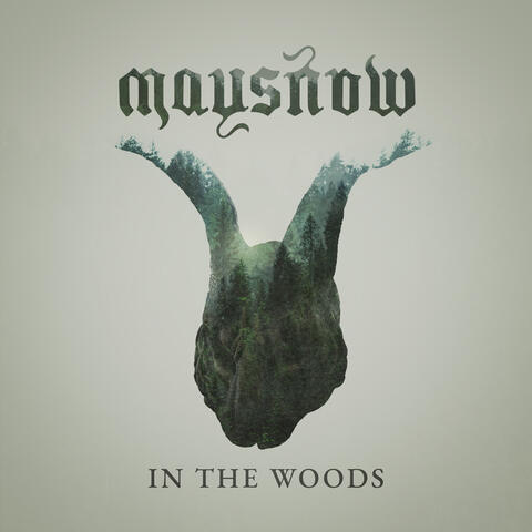 In The Woods