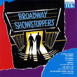 I've Never Been In Love Before (from Guys and Dolls)