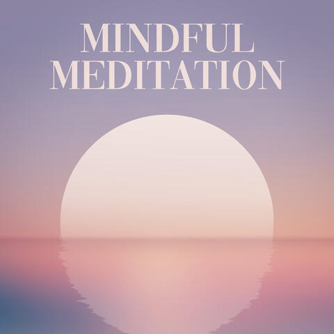 Mindful Meditation