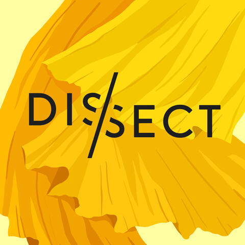 Theme from Dissect S6