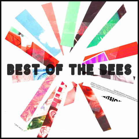 Best of the Bees (10th Anniversary Edition)