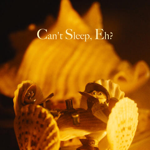 Can’t Sleep, Eh? (Lake Gitchigami)