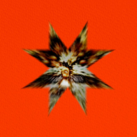 Castrato Raw (Fullback)