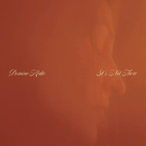 It’s Not There feat. Angel Olsen