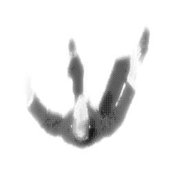 Back Of My Hand