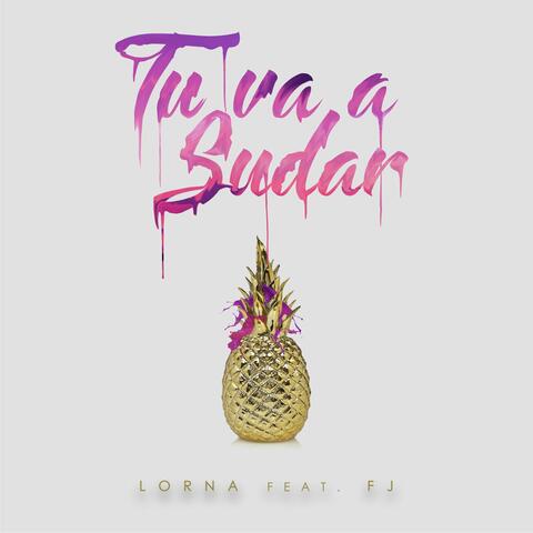 Tu Va A Sudar