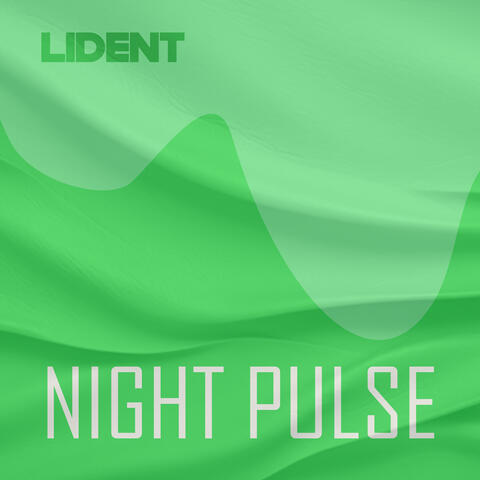 Night Pulse
