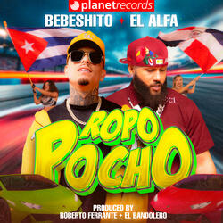 Ropopocho