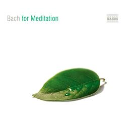 Concerto for 2 Violins in D Minor, BWV 1043: II. Largo ma non tanto