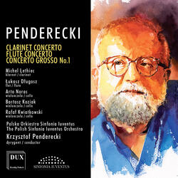 Flute Concerto: Più animato -