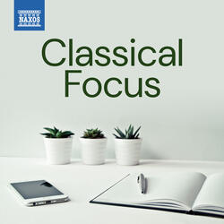 Symphony in G Major, Op. 3 No. 1, WolS G2: II. Andante non adagio