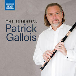 Flute Concerto No. 7 in E Minor: I. Allegro