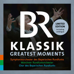 Symphony No. 9 in E Minor, Op. 95, B. 178 "from the New World": III. Molto vivace