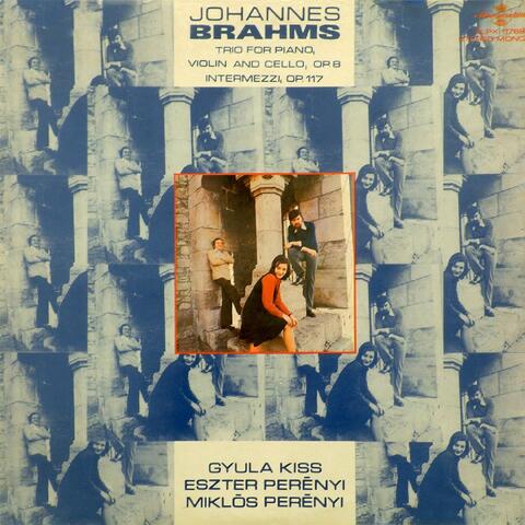 Brahms: Piano Trio No. 1 in B Major, Op. 8 (1889 Version) & 3 Intermezzi, Op. 117