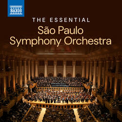 Fantasia for Cello & Orchestra, W454: II. Molto vivace