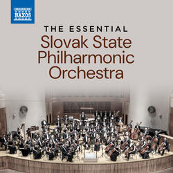 Violin Concerto No. 2 in G Minor, Op. 131: No. 2, Adagio quasi andante