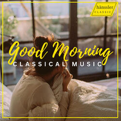 Piano Concerto No. 13 in C Major, K. 415: I. Allegro