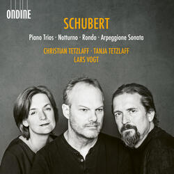 Arpeggione Sonata in A Minor, D. 821 (Arr. for Cello & Piano by Anonymous): III. Allegretto