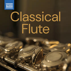Flute Concerto in D Major, TWV 51:D1: I. Andante