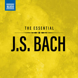 Violin Partita No. 3 in E Major, BWV 1006: I. Preludio