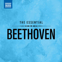 Fidelio, Op. 72: Overture